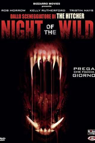 Night of the Wild