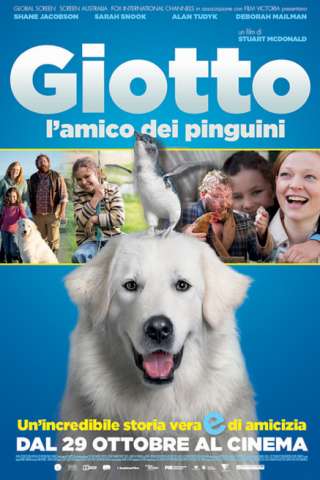 Giotto, l'amico dei pinguini