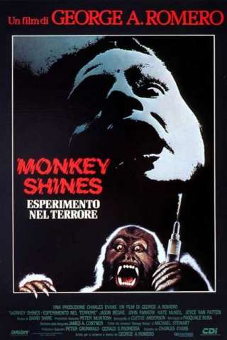 Monkey Shines - Esperimento nel terrore
