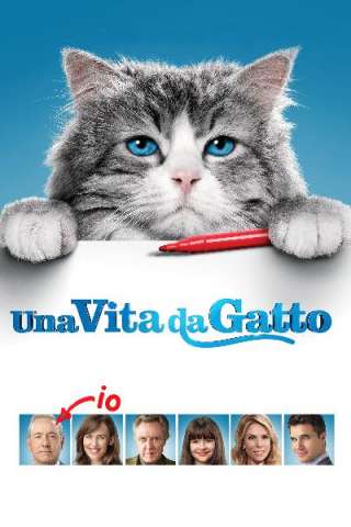 Nine Lives - Una vita da gatto
