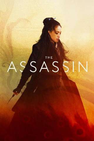 The Assassin