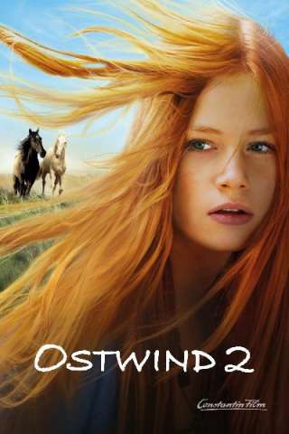 Windstorm 2 - Contro ogni regola