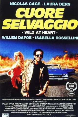 Cuore selvaggio