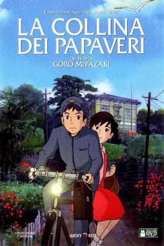 La collina dei papaveri