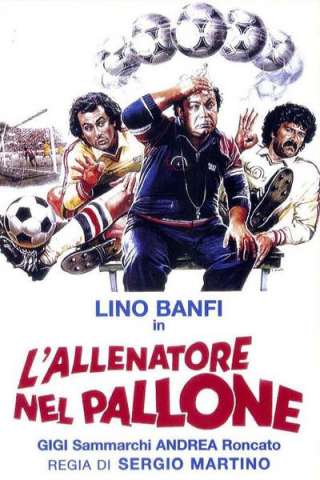 L'allenatore nel pallone