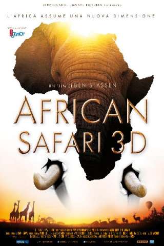 African Safari