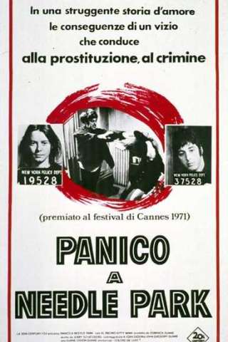 Panico a Needle Park