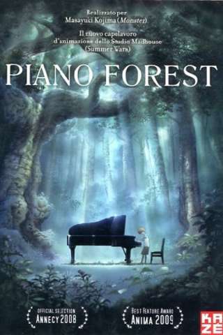 Piano Forest - Il piano nella foresta