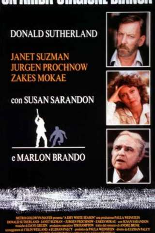 Un'arida stagione bianca