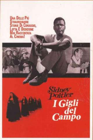 I gigli del campo [B/N]
