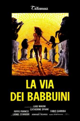 La via dei babbuini