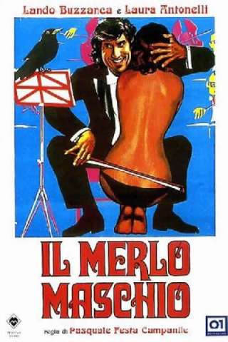 Il merlo maschio