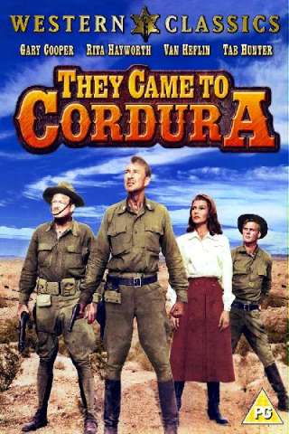 Cordura