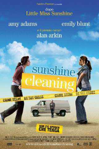 Sunshine Cleaning - Non ce sporco che tenga