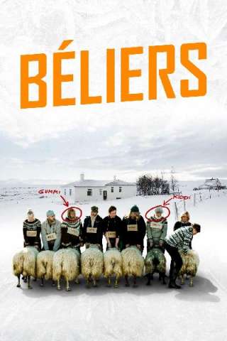 Rams - Storia di due fratelli e otto pecore