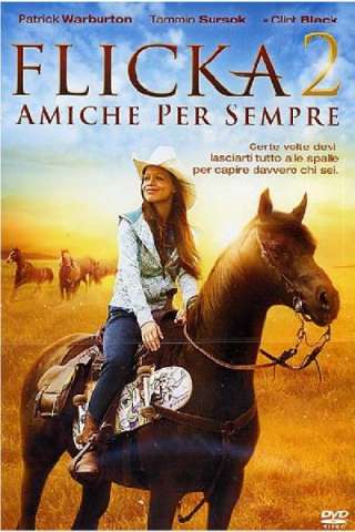 Flicka 2 - Amiche per sempre