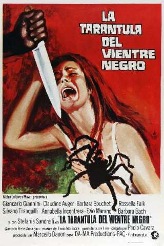 La tarantola dal ventre nero