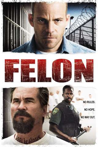 Felon - Il colpevole