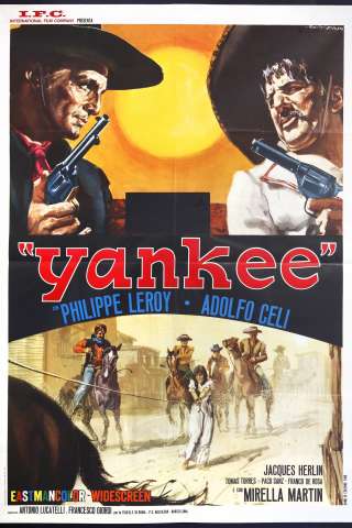 Yankee