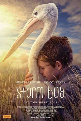 Storm Boy - Il ragazzo che sapeva volare