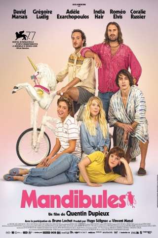 Mandibules - Due uomini e una mosca