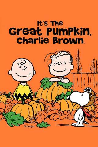 IL GRANDE COCOMERO, CHARLIE BROWN