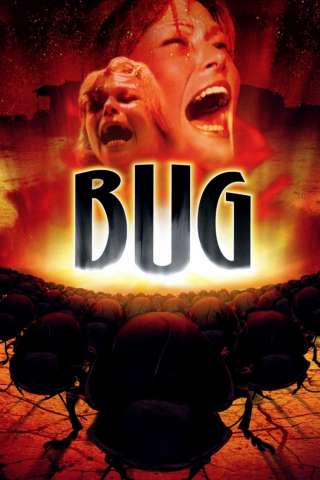 Bug - Insetto di fuoco