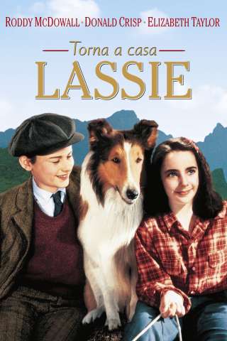 Torna a casa Lassie!