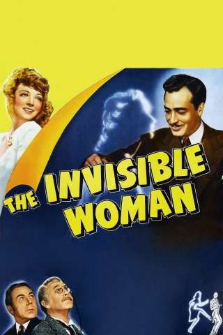 La donna invisibile