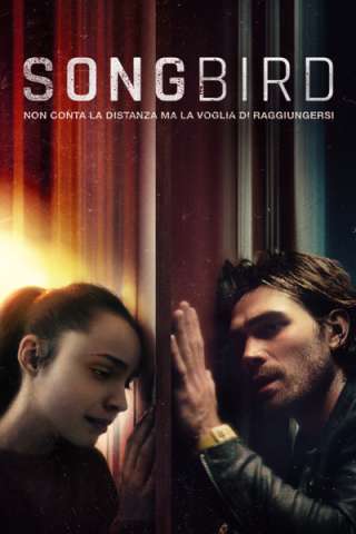 Songbird