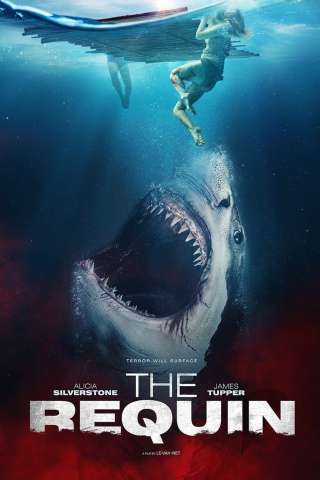 Sharks - Incubo dagli abissi