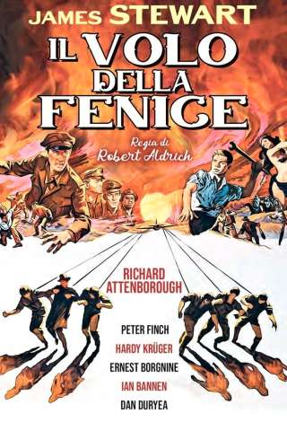 Il volo della fenice