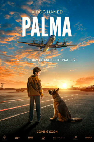 Palma un amore di cane