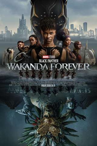 Black Panther - Wakanda Forever