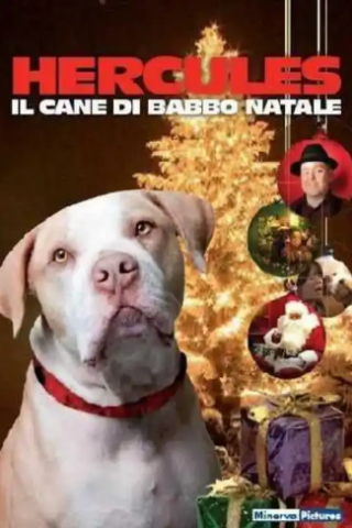 Hercules - Il Cane di Babbo Natale
