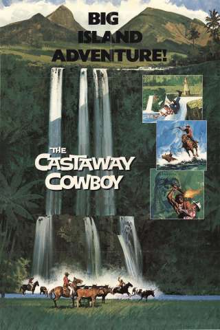 Un cowboy alle Hawaii