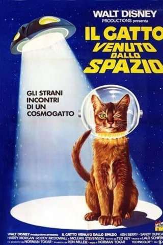 Il gatto venuto dallo spazio