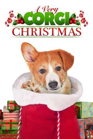 Un Natale da Corgi