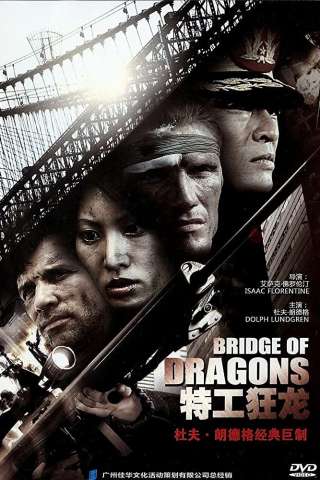 Il ponte del dragone