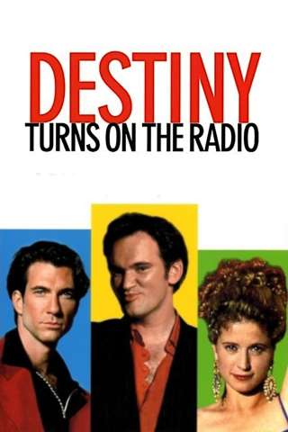 Mister Destiny