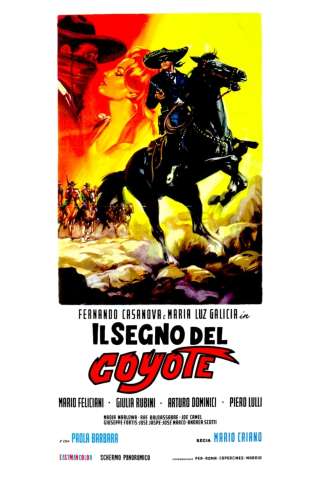 Il segno del Coyote