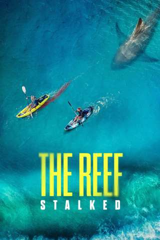 The Reef: intrappolate