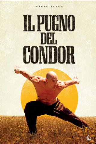 Il Pugno del Condor