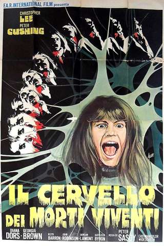 Il cervello dei morti viventi