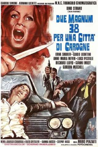 Due Magnum .38 per una città di carogne
