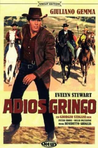 Adios Gringo
