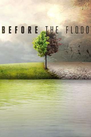 Punto di non ritorno - Before the Flood