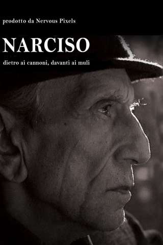 Narciso - Dietro ai cannoni, davanti ai muli