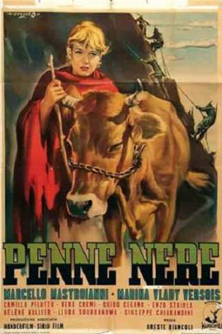 Penne nere