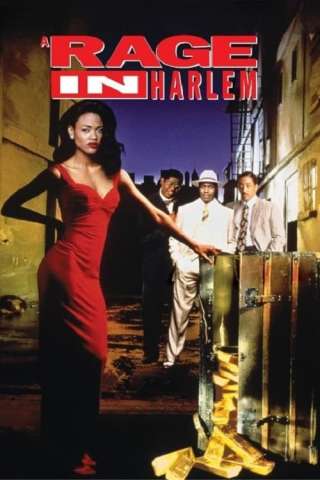 Rabbia ad Harlem